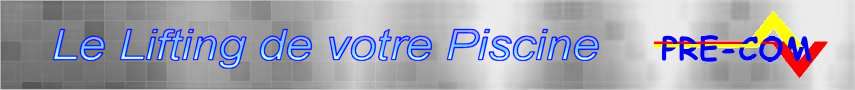 logo precom piscine renovation